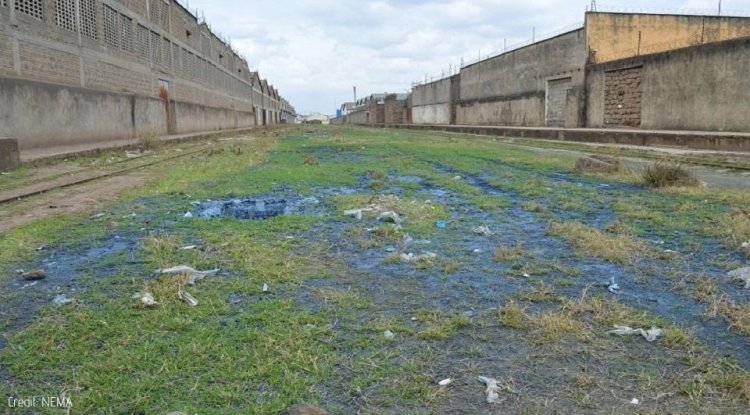 NEMA shuts five companies over pollution